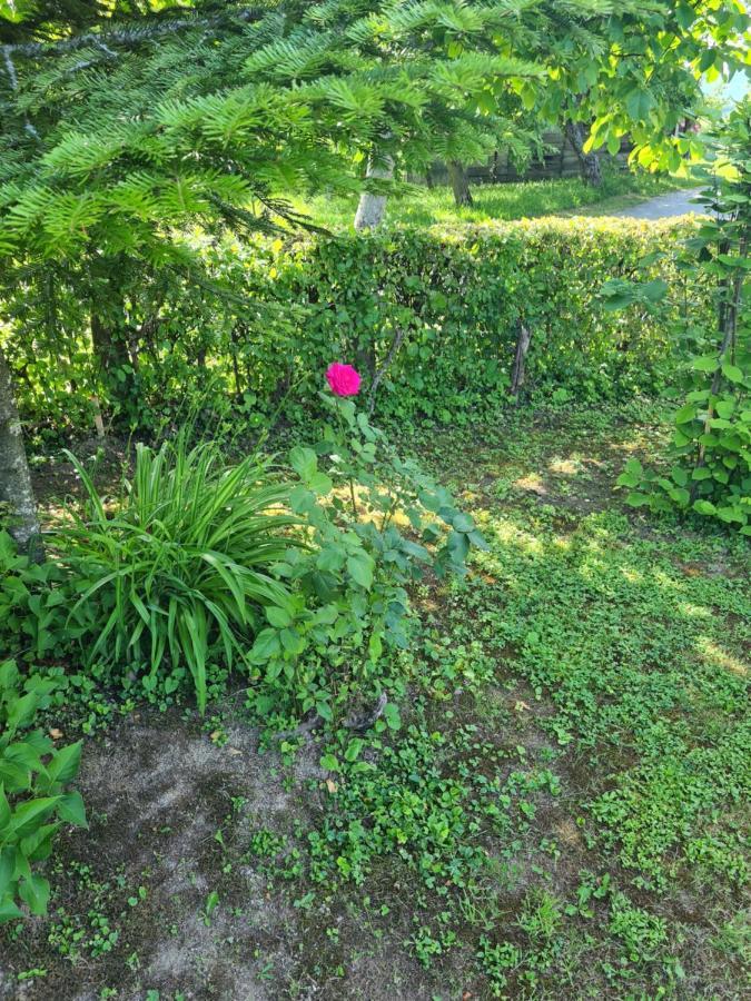 Holiday Home Hizica V Plavem Trnacu Gornja Stubica المظهر الخارجي الصورة