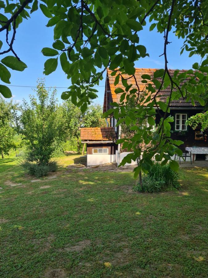 Holiday Home Hizica V Plavem Trnacu Gornja Stubica المظهر الخارجي الصورة