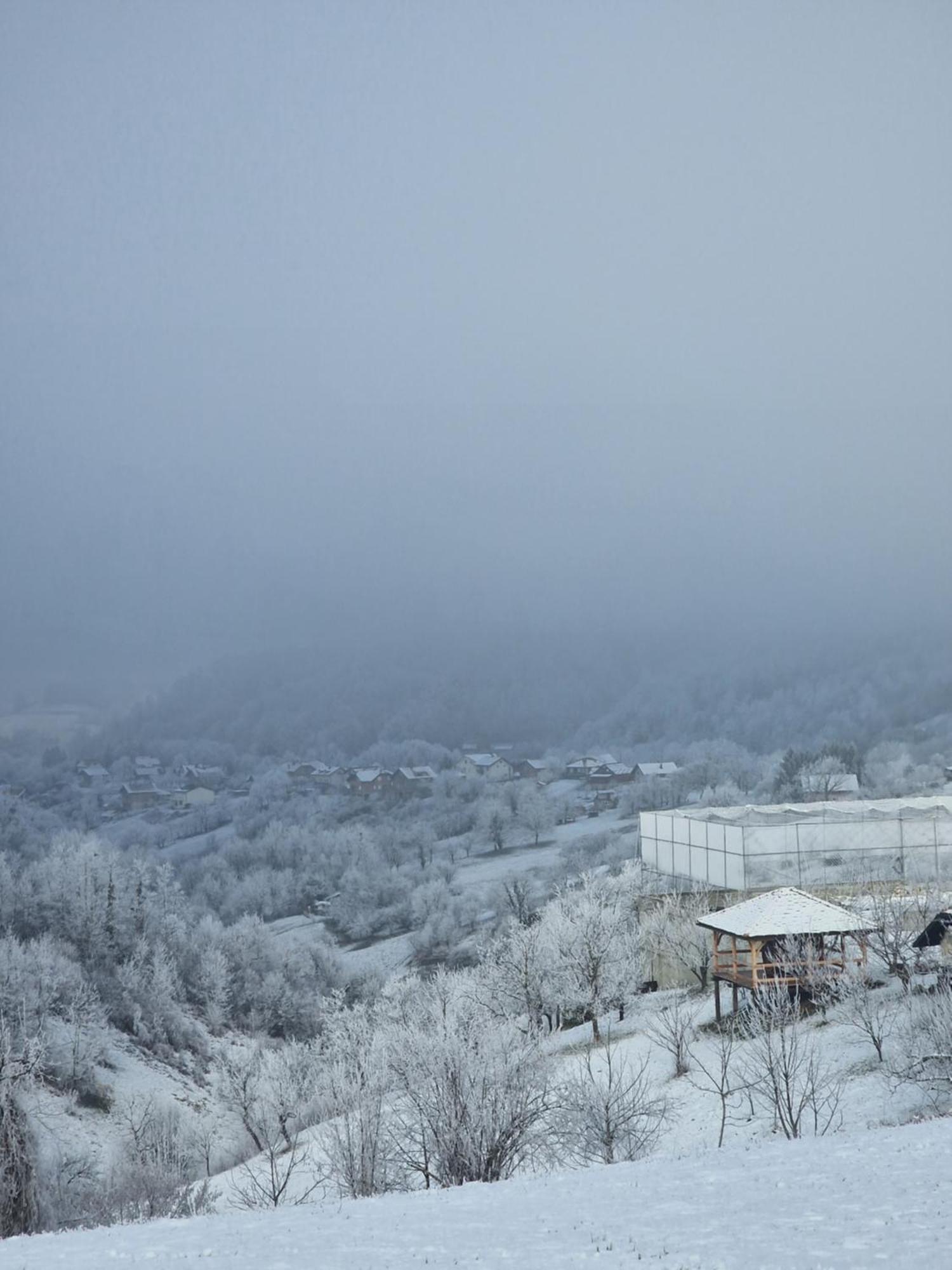 Holiday Home Hizica V Plavem Trnacu Gornja Stubica المظهر الخارجي الصورة