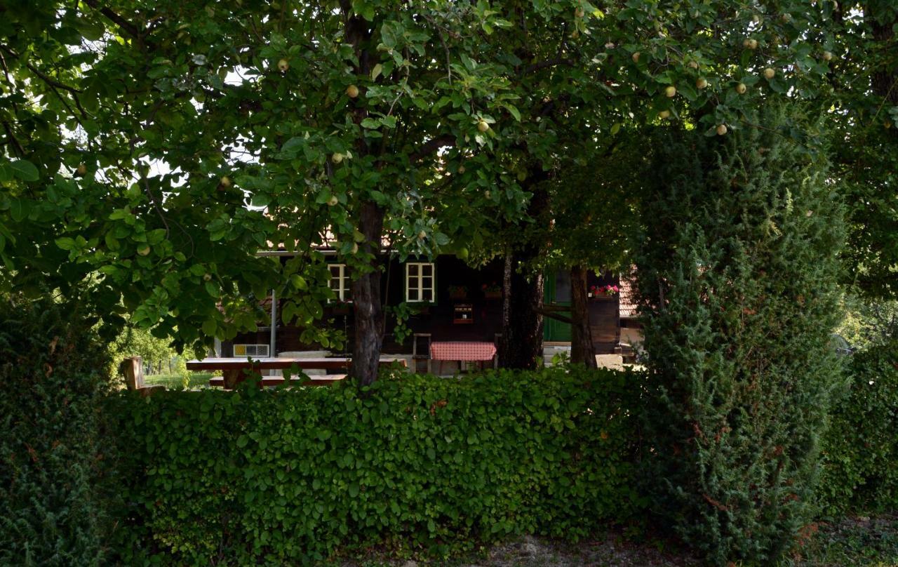 Holiday Home Hizica V Plavem Trnacu Gornja Stubica المظهر الخارجي الصورة