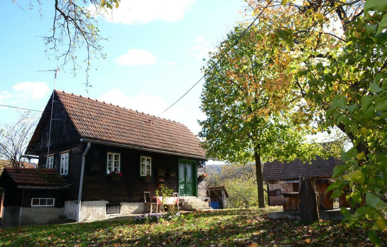 Holiday Home Hizica V Plavem Trnacu Gornja Stubica المظهر الخارجي الصورة