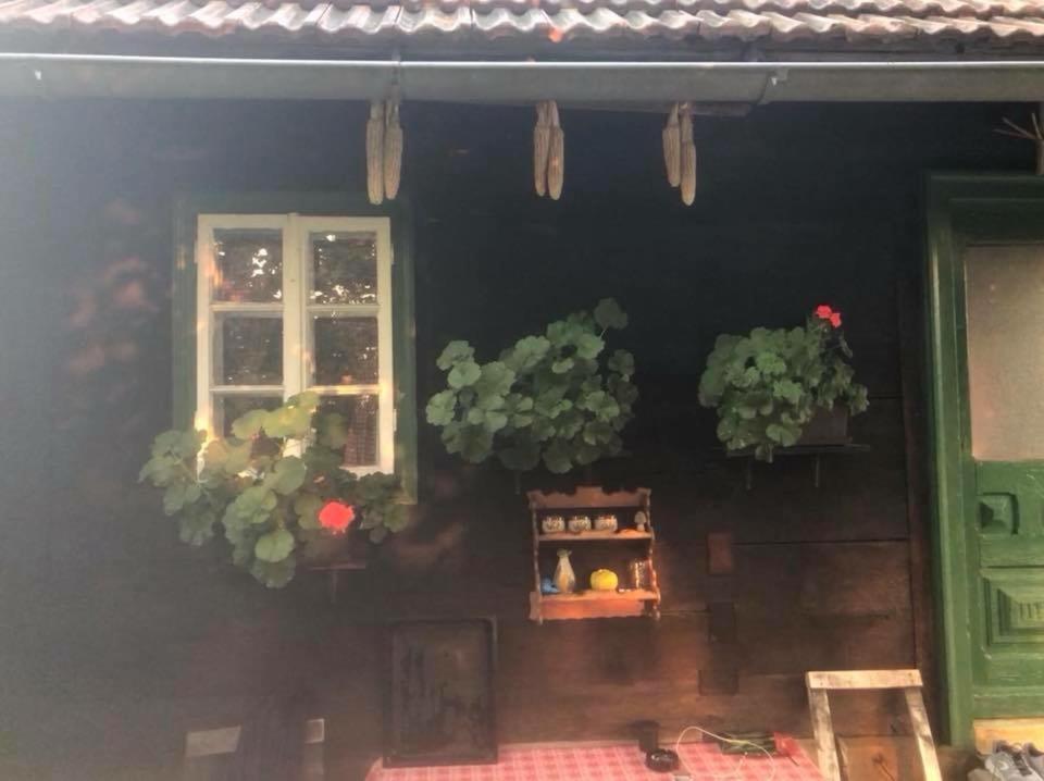 Holiday Home Hizica V Plavem Trnacu Gornja Stubica المظهر الخارجي الصورة